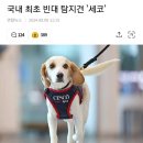 천주부 네이버블로그