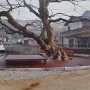 대영하우징