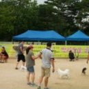 해봄동물병원 이미지