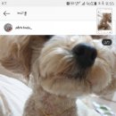 호두주얼리 이미지