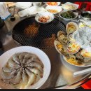 조개바다 이미지