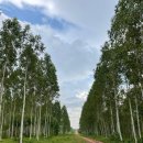 기홍농장 이미지