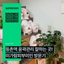 등촌역 4번 출구 앞 | 등촌역 피부관리 미가람피부미인-윤곽관리 받고 턱선 살아난 후기!