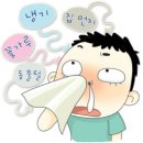맹맹 Daum카페