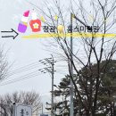 호랑이 미장원