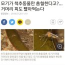 상도덕 없음 원탑 이미지