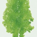 못골도서관 이미지