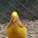 광주조류원 이미지