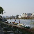 동촌유원지 Daum카페