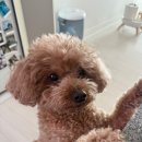 코뿔소약국 이미지