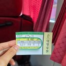 백제문화단지-부소산성-궁남지-정림사지-백제문화단지 | [뚜벅이 혼행러] 당일치기 부여여행(백제문화단지,낙화암,정림사지,부여박물관,궁남지)