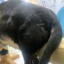 숲동물병원 이미지