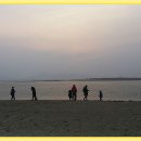 갯벌생태 체험장 이미지