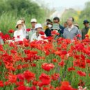 초동목장 이미지