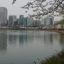 석촌호수 티스토리