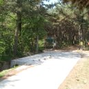 (주)양지약품 이미지