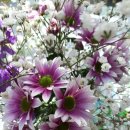 함박공인중개사사무소 이미지