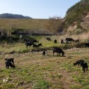 늘푸른농장2 이미지