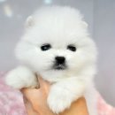 (주)아가월드 이미지