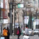 가로수길 이미지