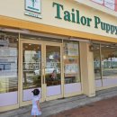 진주대로주유소 이미지