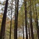 한국폴리텍 특성화대학 로봇캠퍼스 이미지