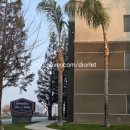 베이커스필드 | 로드트립 숙소 [베이커스필드 햄프턴 인 앤 스위트...Inn & Suites Bakersfield North-Airport 숙박 후기