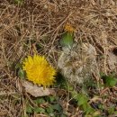 금수강산사우나 이미지