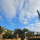 검배로 힐링거리 주변 | 제주도 애월가족펜션 오션뷰 숙소 공항 근처 실내 힐링 스파 제이르블랑 후기