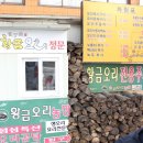 송정오리농장 이미지