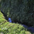 양지여관 이미지