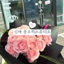 스튜디오로즈데이