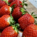 정스테이 이미지