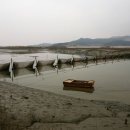 고창풍천장어 이미지