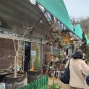 늘푸른숲 | 부산 캠크닉이 가능한 셀프 바베큐장 늘푸른숲 내돈내산 후기