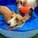 놀러오개 서대문점 이미지