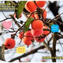 전라농장 이미지