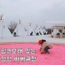 아산도심누리코스 | 천안 아산 가볼만한곳 파라프라 핑크모래 있는 바베큐장 후기