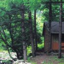 해피데이 이미지