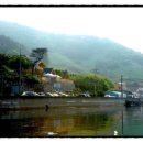 바다위통나무펜션씨그리메 이미지