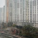 9425(구사이오) 이미지