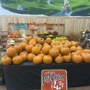 신기파크모텔 이미지