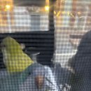 새싹 동물병원 | 퀘이커 앵무새 특수동물병원 진료 후기, 꼬질한 털이 알고보니 바이러스성 질병?! + 앵무새 진료 가능...