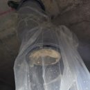 봉곡동302 이미지