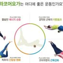 코어요가 이미지