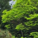 최우식노즈립성형외과의원 이미지