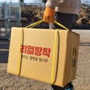 호롱말
