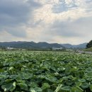 함박골마을 이미지