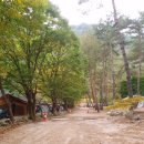 영월 | [캠핑후기] 강원도 선착순 캠핑장｜뷰가 아름다운 영월 리버힐즈 캠핑장 후기