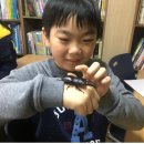 꿈자리지역아동센터 이미지